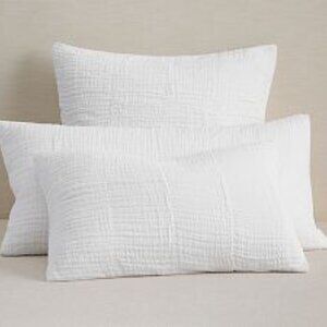 Pottery Barn Cloud White Euro Shams (2) 26" Square